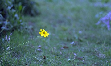 a16467806_01000.jpg
