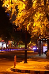05D26717-653F-4D92-9734-CD8EC7E905EB/L0/001