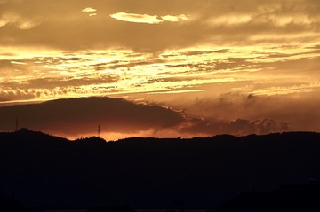 74008C98-D65C-4C15-8948-08ABD22998A2/L0/001
