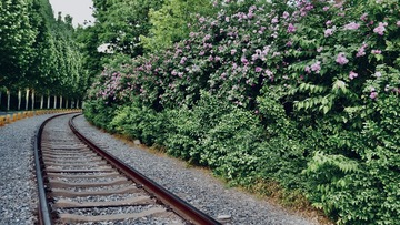 99F1FFCD-D2A1-4F93-A4B7-738EA49673EC/L0/001