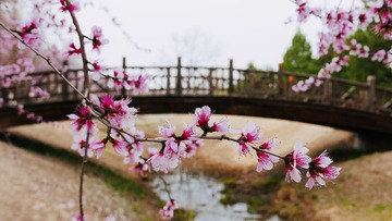 4FF6ABFD-A7A1-441D-B0A5-0C444D5F347F/L0/001