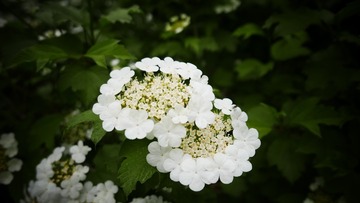 E74636A9-323B-42B5-AF38-09F1A429E9D7/L0/001