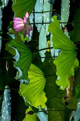 001
