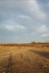 244225