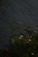 E5EBA74C-5694-4C27-96C5-7B0BA89C08FF/L0/001