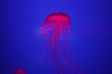 7145788A-2F18-4AAA-8B6B-C72255A13EEE/L0/001