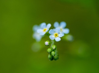 3249