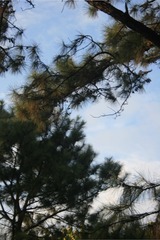 9F7F8DA1-5B02-42DF-AE75-24C9C66EB21F/L0/001