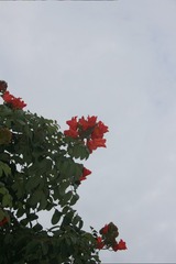 F21F8376-F841-4867-A396-768F178D18D6/L0/001