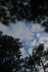BD2A4A20-4406-4D17-954C-D85981FA7056/L0/001