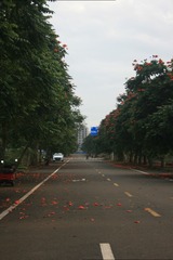 955FBFFE-03E6-4F8A-84F4-85F6B9C13B5C/L0/001