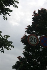 3E312EDF-2712-48E8-A542-F7ABA3E6739D/L0/001