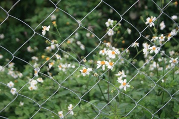 83D5DB5B-1B0E-457A-890F-8EF9D910DADC/L0/001