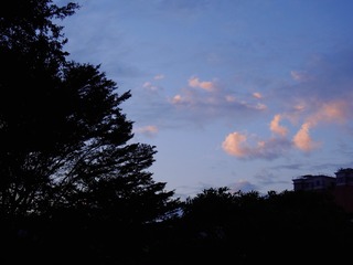 A114F1EF-AC85-4CCF-B77A-8263634ED7E9/L0/001