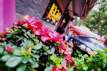 1DSCF4981