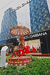 1DSCF4931