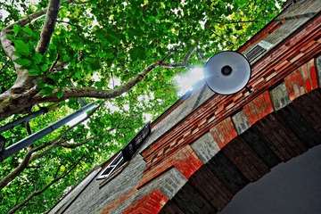 1DSCF4955