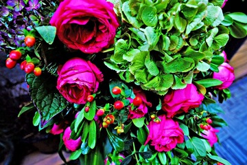 1DSCF5043