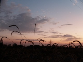 89CF5100-80DA-4ECF-907D-56DCD750AE75/L0/001