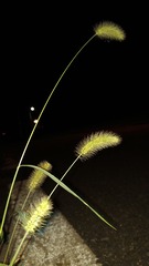 11480115