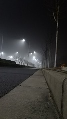 11314493