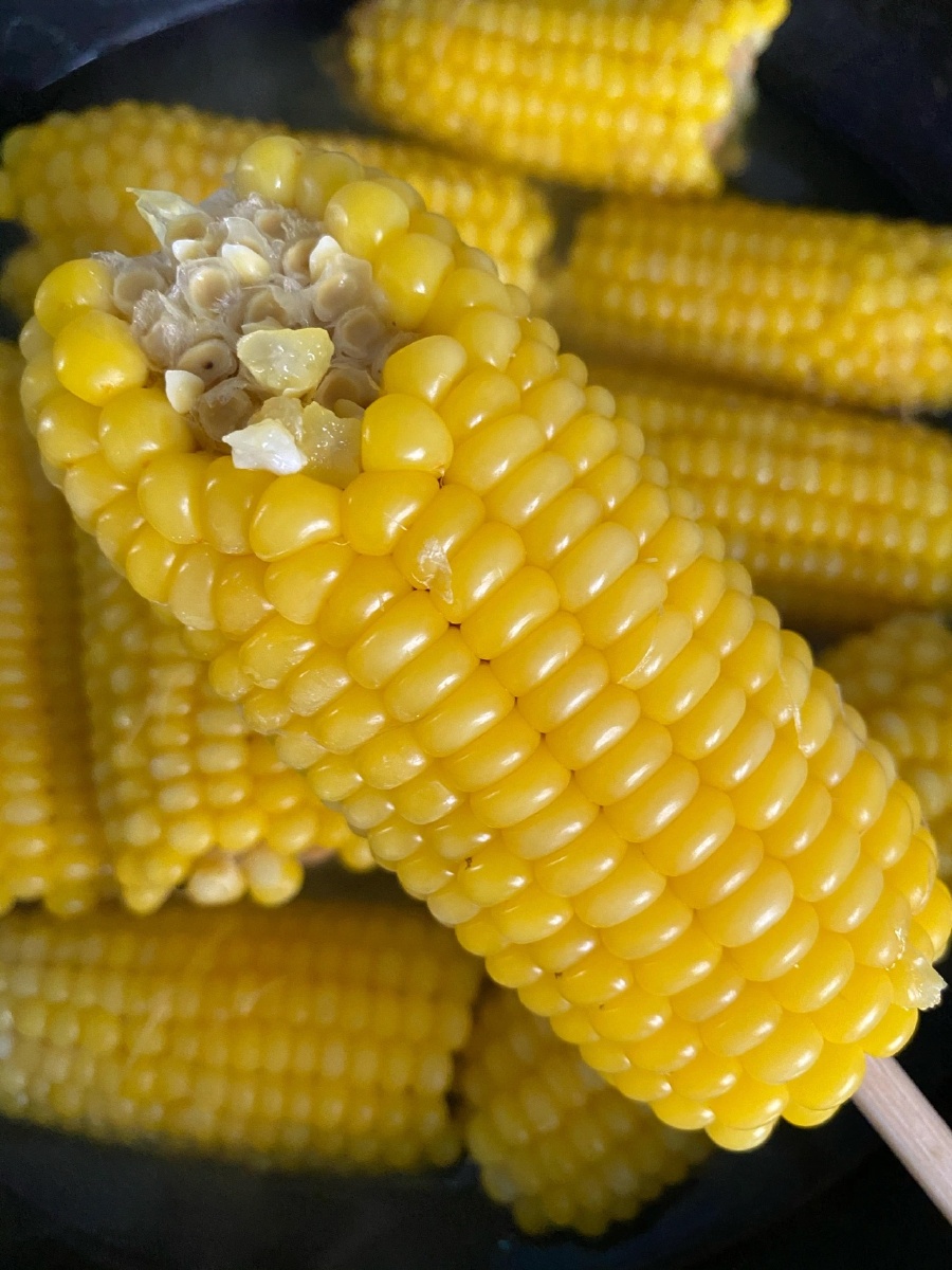 东北粘玉米