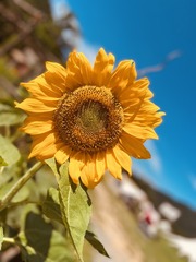5B00717F-C45A-4682-BB76-59D40D0B1C90/L0/001