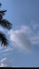 31A60853-A2D5-4C53-8F88-4C9645C0E3BB/L0/001