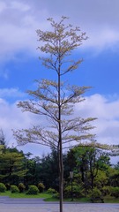 212BF7E7-CD30-43AB-81DC-E683E571CDC8/L0/001