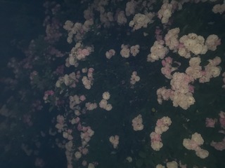 804874