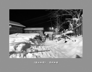 黑白松岭001