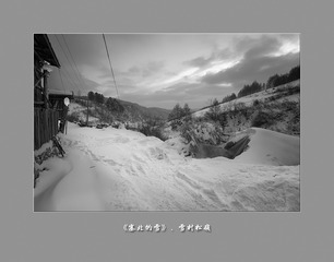 黑白松岭002