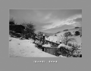 黑白松岭003