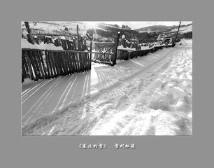 黑白松岭033