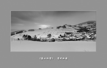 黑白松岭038