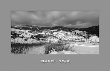 黑白松岭039