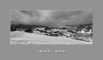 黑白松岭040