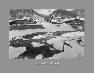 黑白松岭060