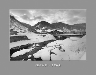 黑白松岭061