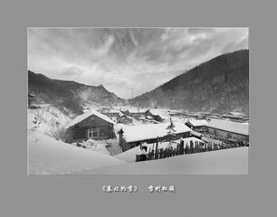 黑白松岭063
