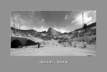 黑白松岭065