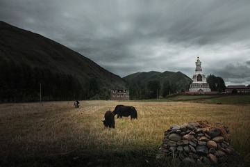 远方的风景318-002.jpg