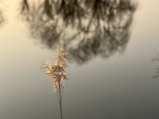 970F9F84-4ECA-42EC-B707-07B03DCCAE78/L0/001