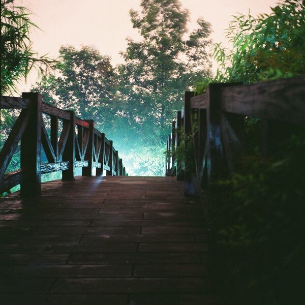 CNV000015<br />