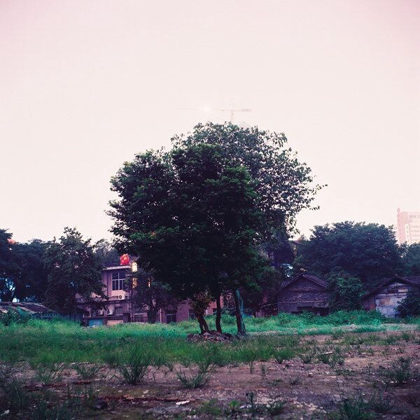 CNV000035<br />