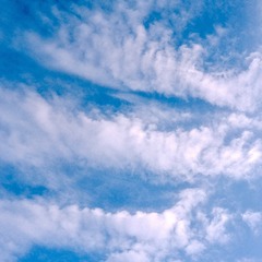 92548952-7505-4E95-8DBC-85E09AEBC7D7/L0/001