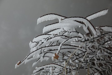 5F924BD8-6EB3-4C53-8521-C4F307A9ECDF/L0/001