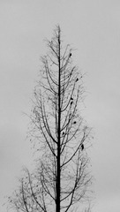 4FBC7CF3-2D24-4E4B-A758-ECED9A85573F/L0/001