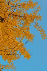 A98FE804-98A3-40C1-BE50-75189639D034/L0/001