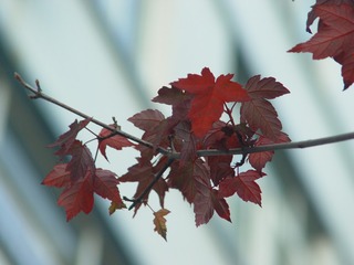 D72E5DF7-4B9F-44EB-BB73-FC4109CB5A7C/L0/001